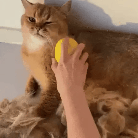 Cepillo a vapor para gatos y perros