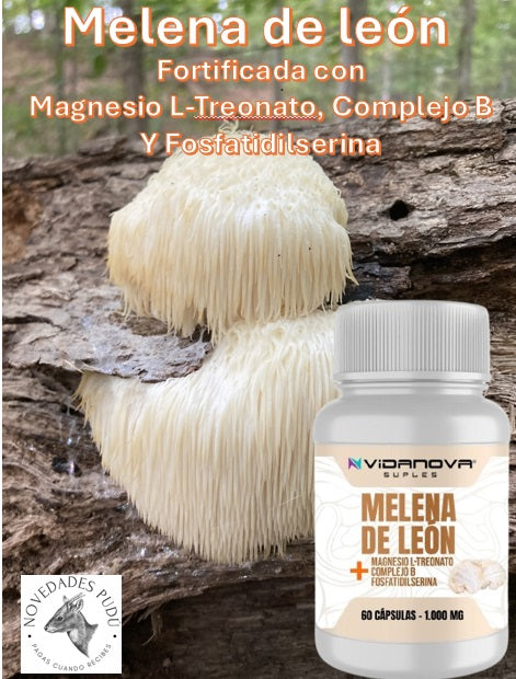 MELENA DE LEON FORTIFICADA