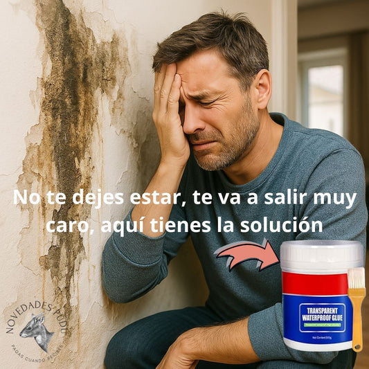 Sellador Impermeable transparente 300gr