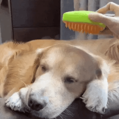 Cepillo a vapor para gatos y perros