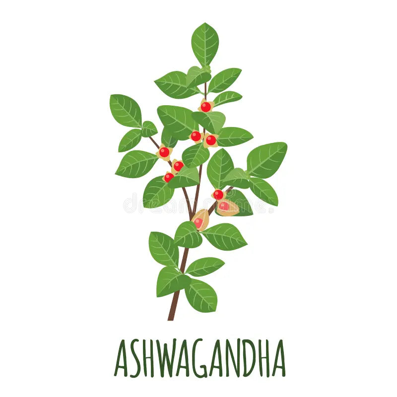 Ashwagandha + Magnesio 1000mg 60 CAPS